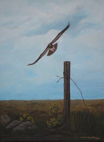 Gary&rsquo;s Hawk